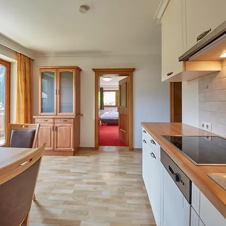 Appartements Gappmaier Saalbach-Hinterglemm Zewnętrze zdjęcie