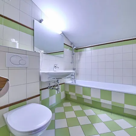 Appartements Gappmaier Saalbach-Hinterglemm Zewnętrze zdjęcie
